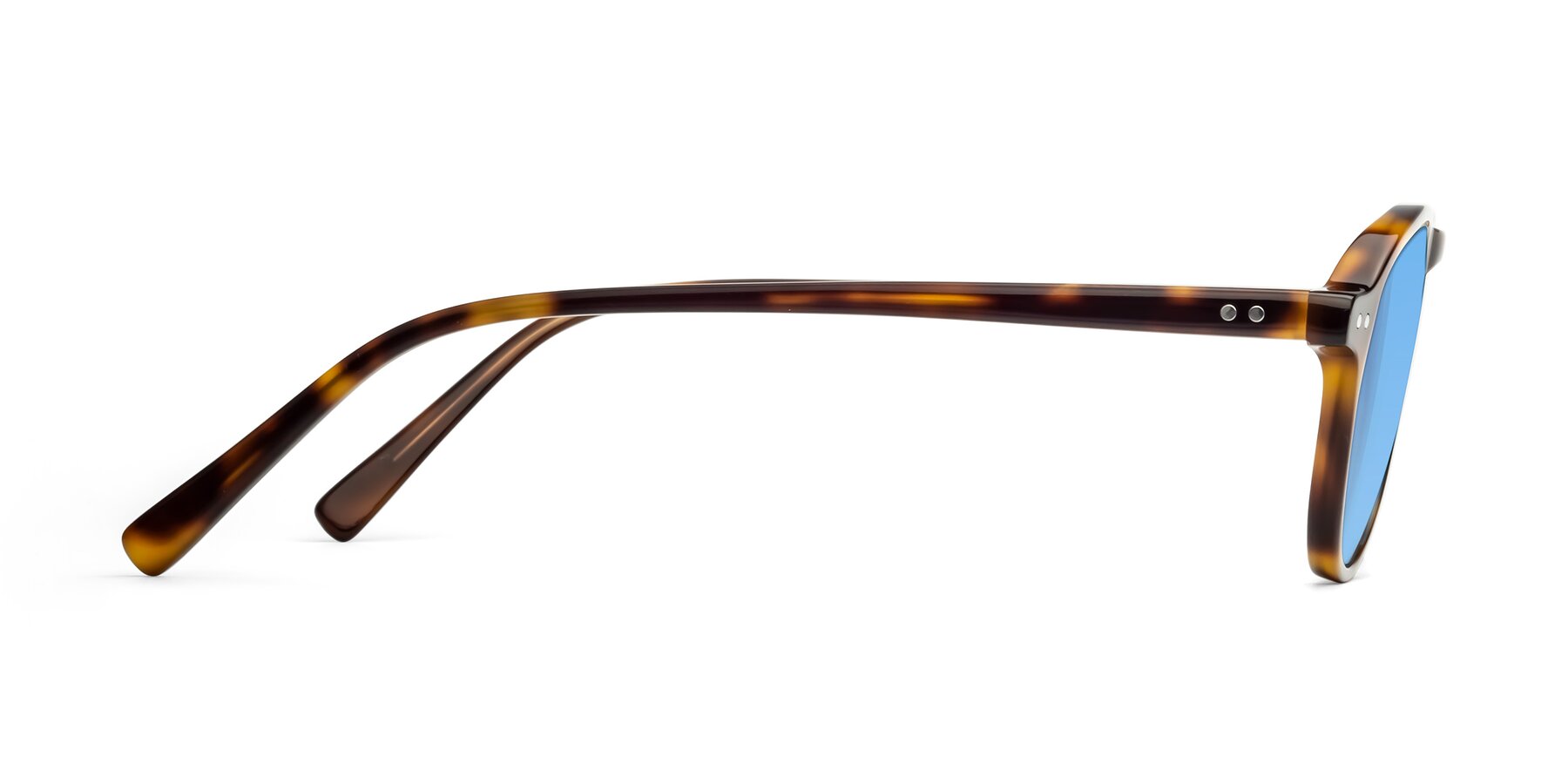 Side of 17544 in Tortoise with Medium Blue Tinted Lenses