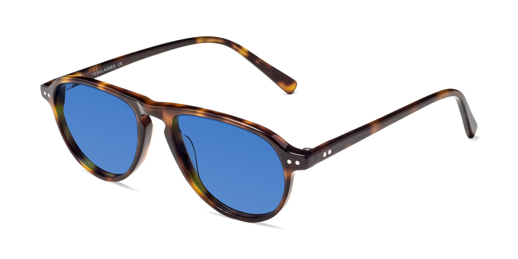 Angle of 17544 in Tortoise with Blue Tinted Lenses