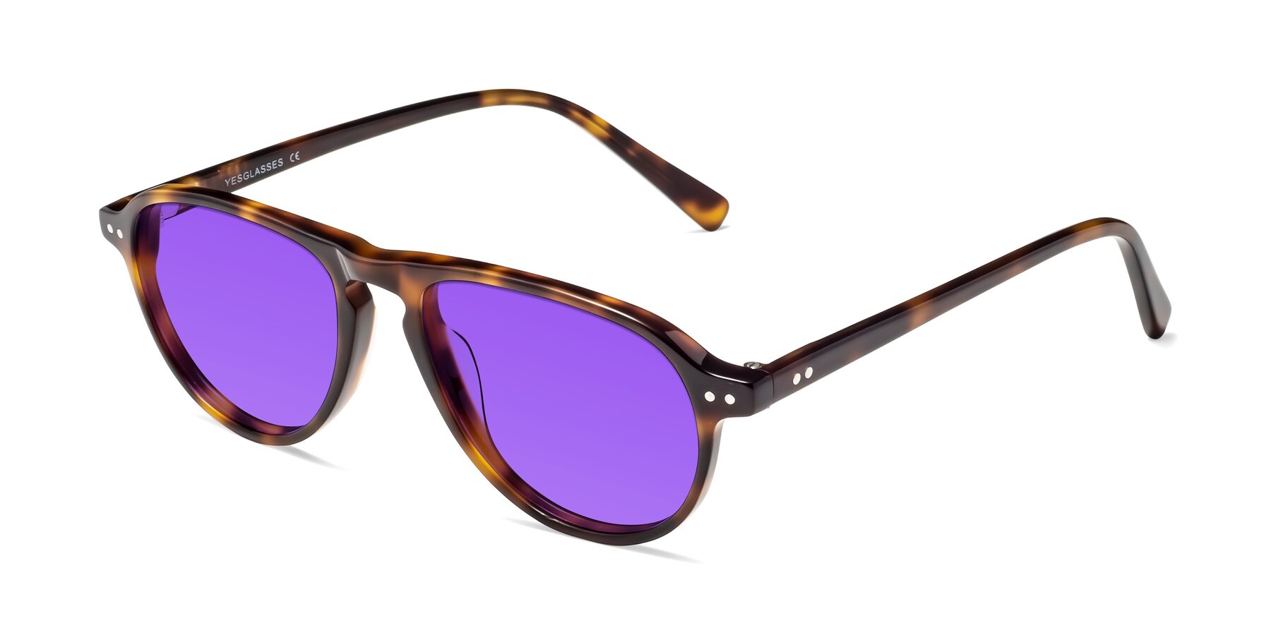 Angle of 17544 in Tortoise with Purple Tinted Lenses