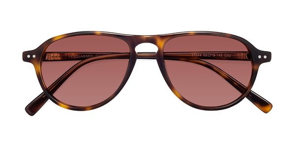 Front of 17544 in Tortoise