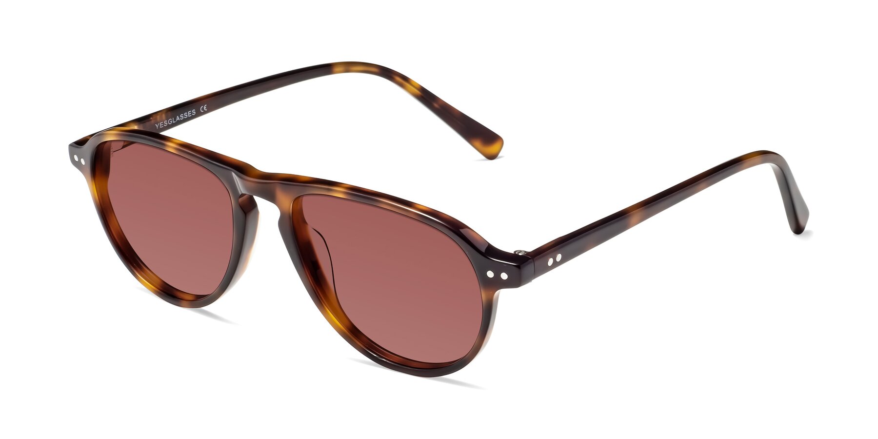 Angle of 17544 in Tortoise with Garnet Tinted Lenses