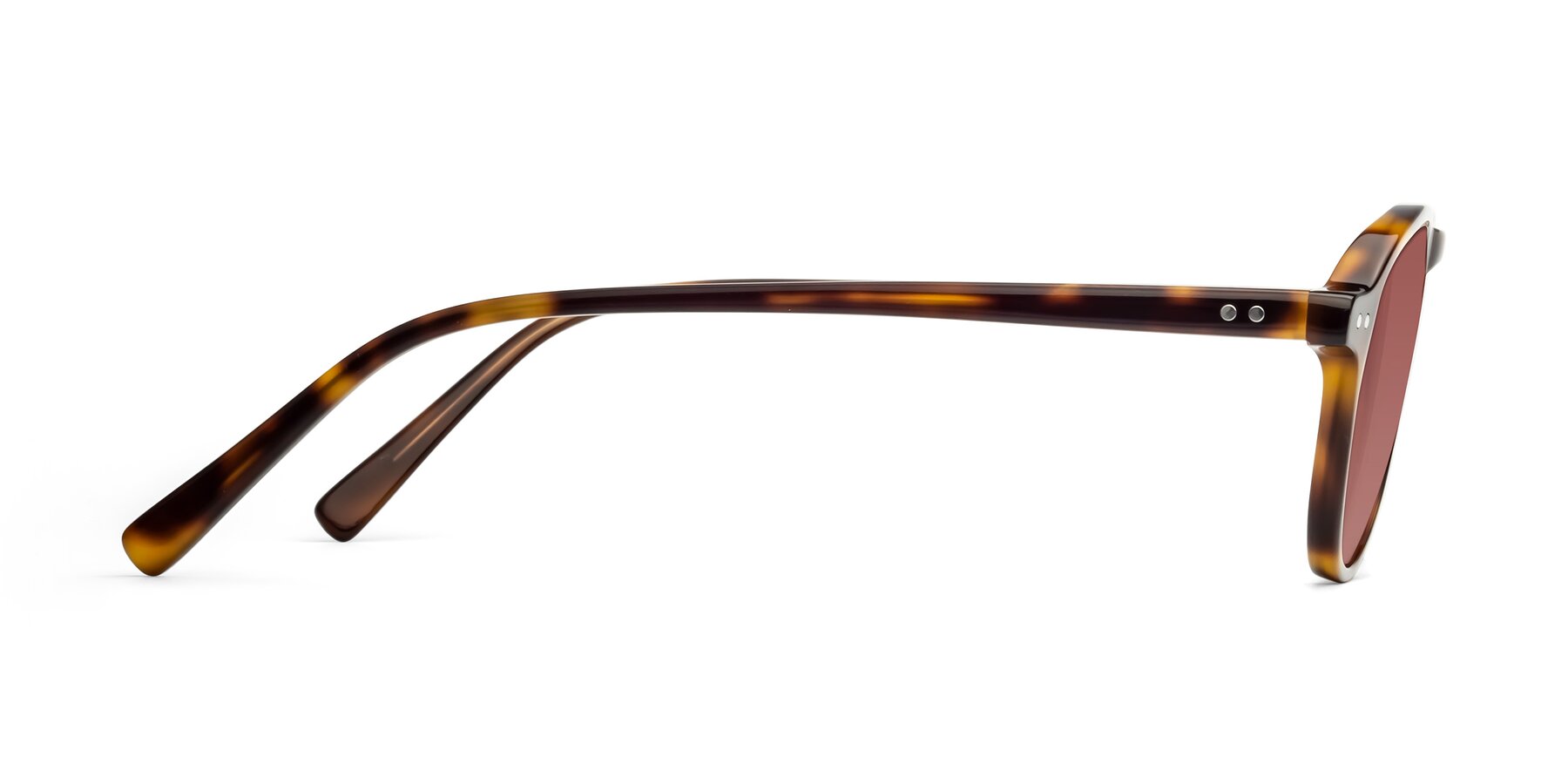 Side of 17544 in Tortoise with Garnet Tinted Lenses