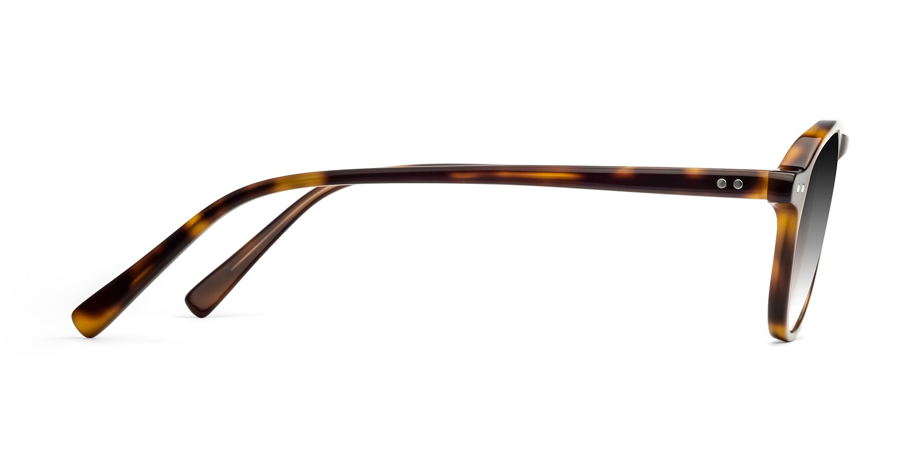 Side of 17544 in Tortoise with Gray Gradient Lenses