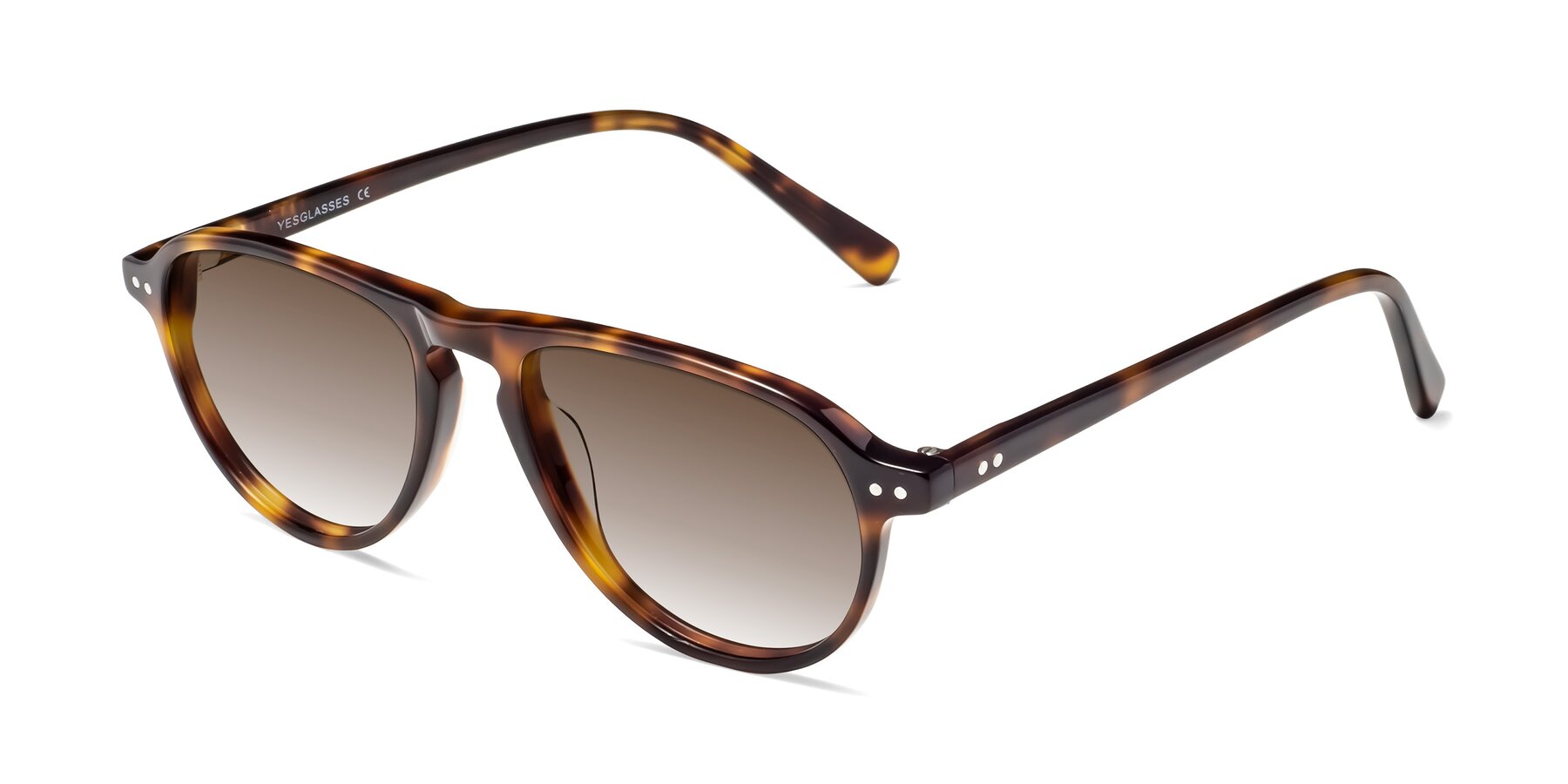 Angle of 17544 in Tortoise with Brown Gradient Lenses