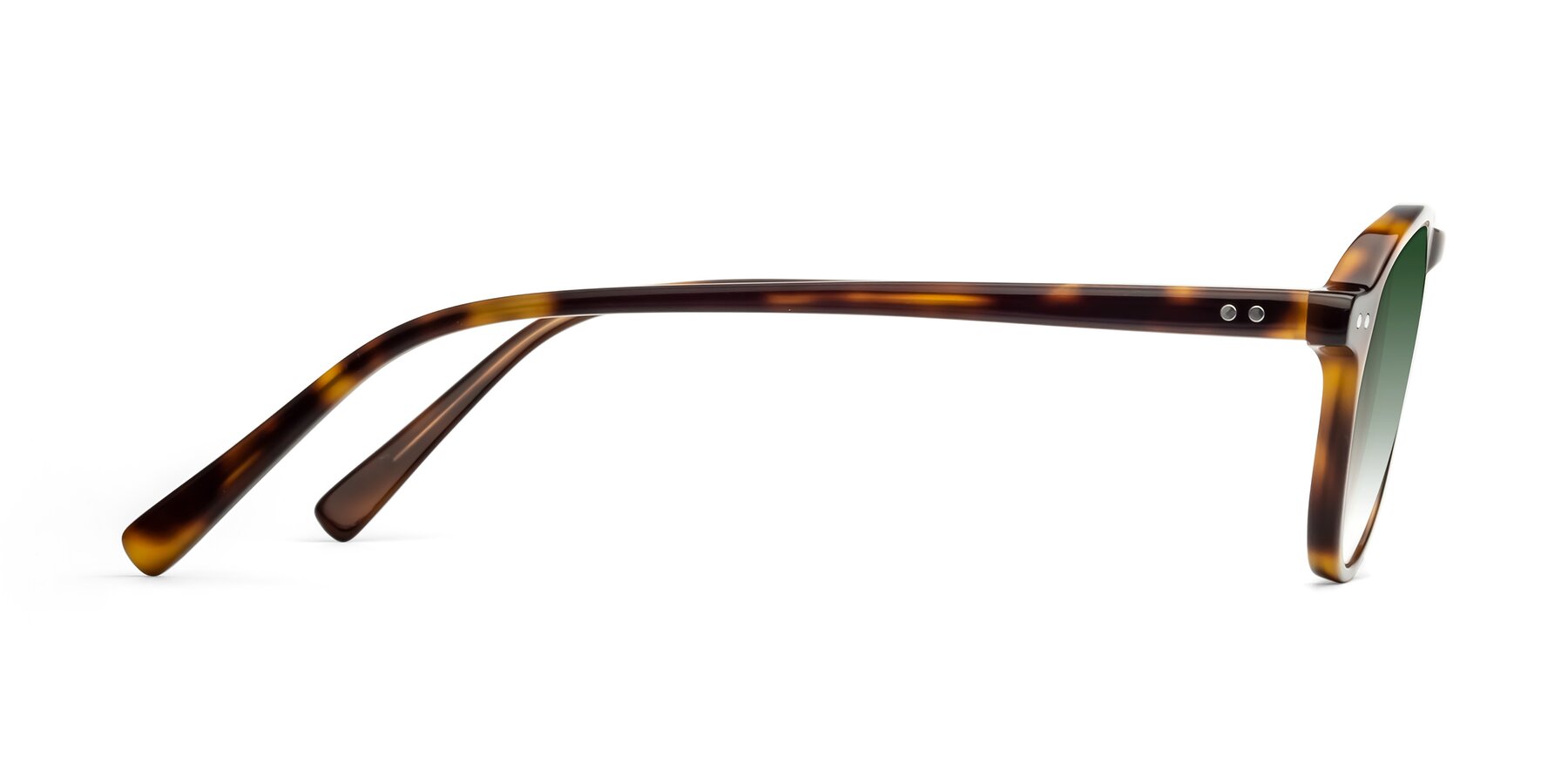 Side of 17544 in Tortoise with Green Gradient Lenses