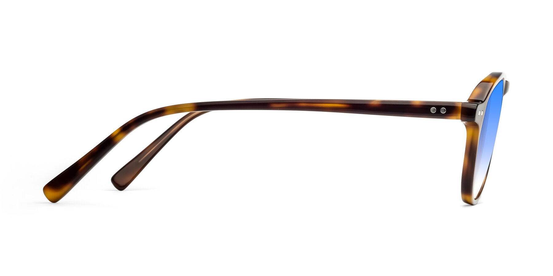 Side of 17544 in Tortoise with Blue Gradient Lenses