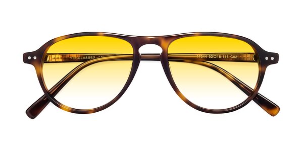 Front of 17544 in Tortoise