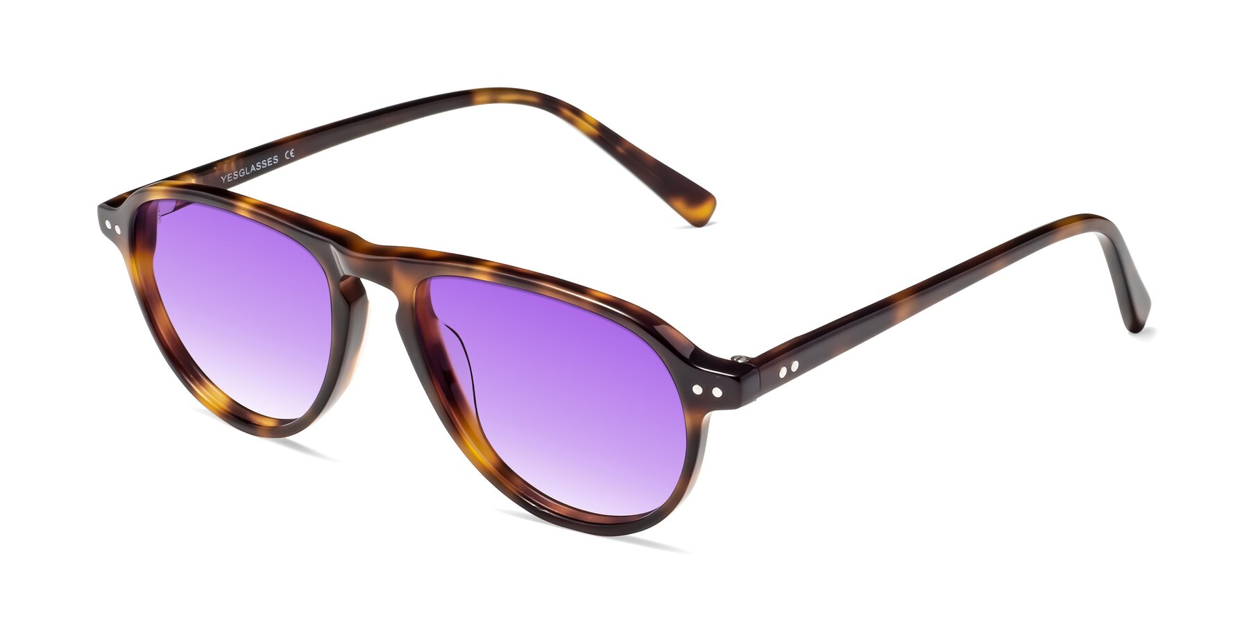 Angle of 17544 in Tortoise with Purple Gradient Lenses