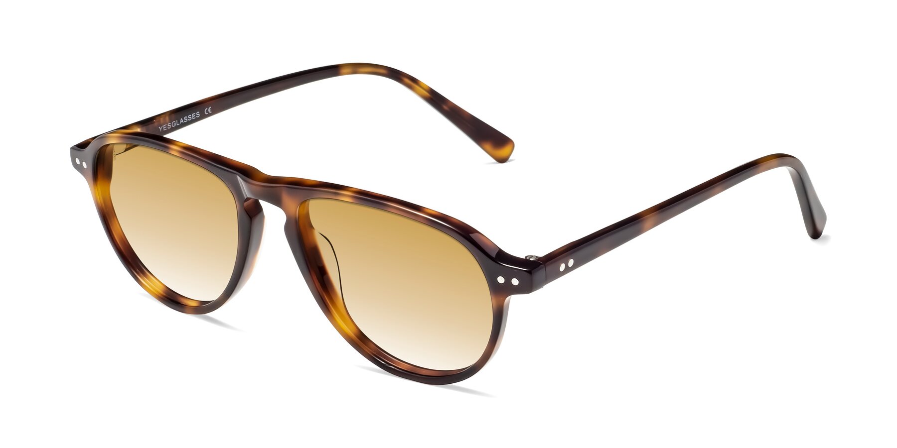 Angle of 17544 in Tortoise with Champagne Gradient Lenses