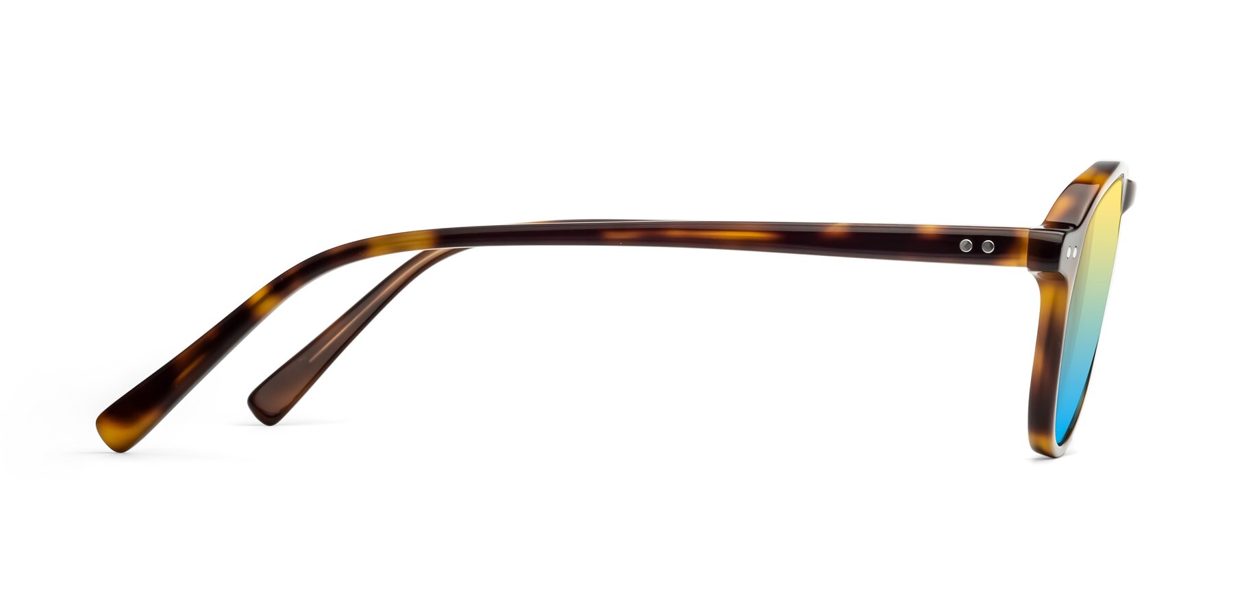 Side of 17544 in Tortoise with Yellow / Blue Gradient Lenses