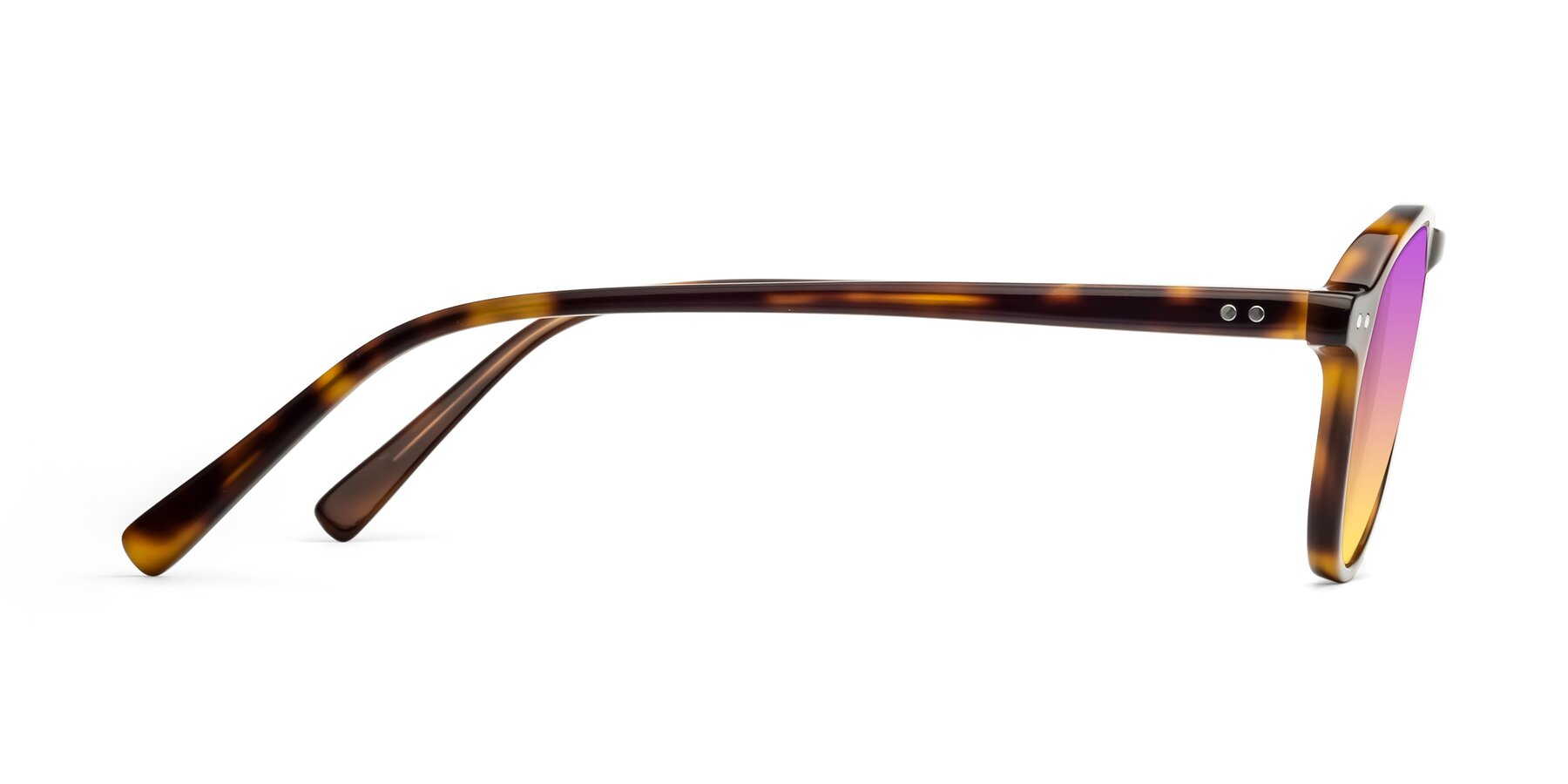 Side of 17544 in Tortoise with Purple / Yellow Gradient Lenses