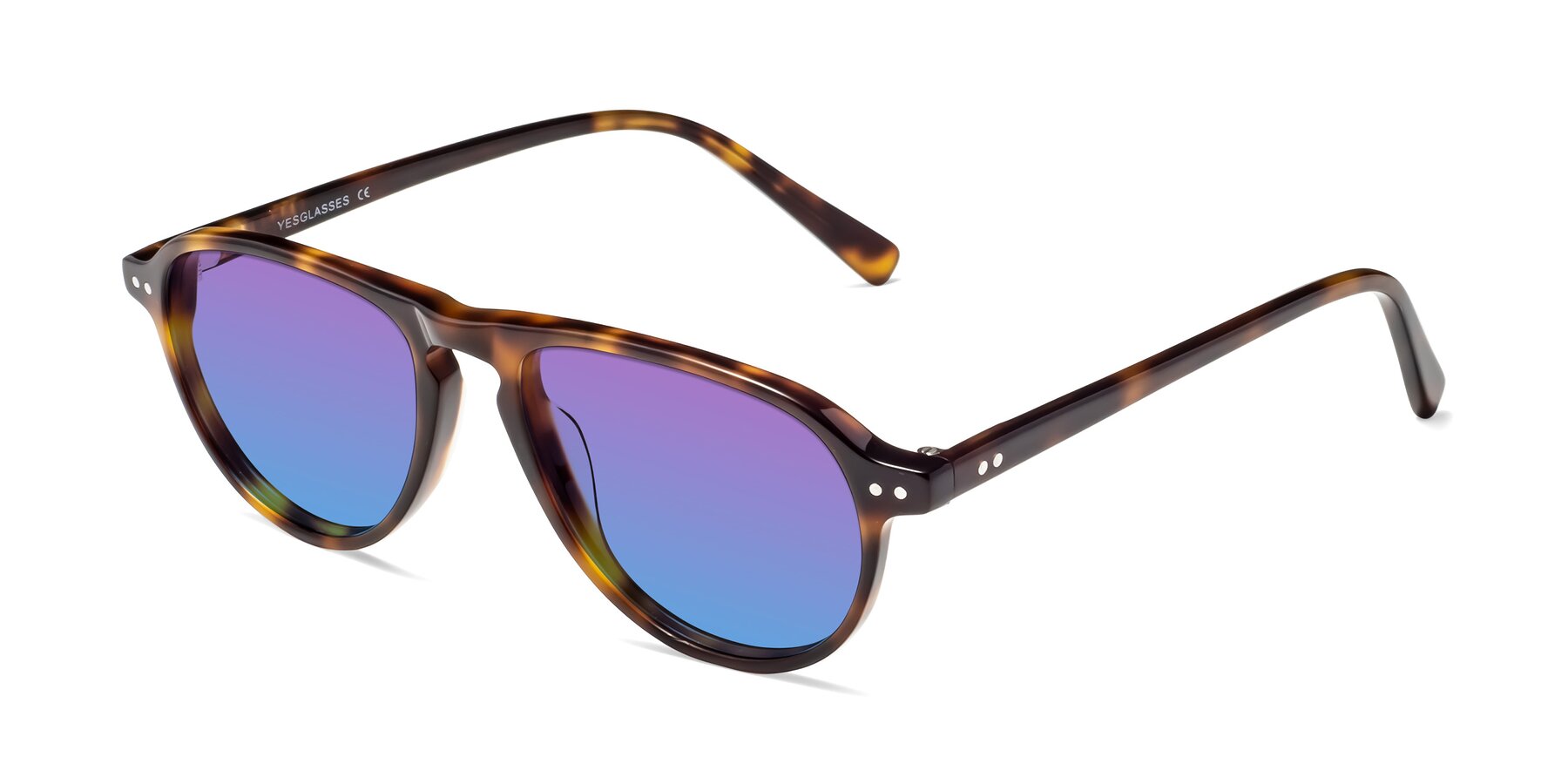 Angle of 17544 in Tortoise with Purple / Blue Gradient Lenses