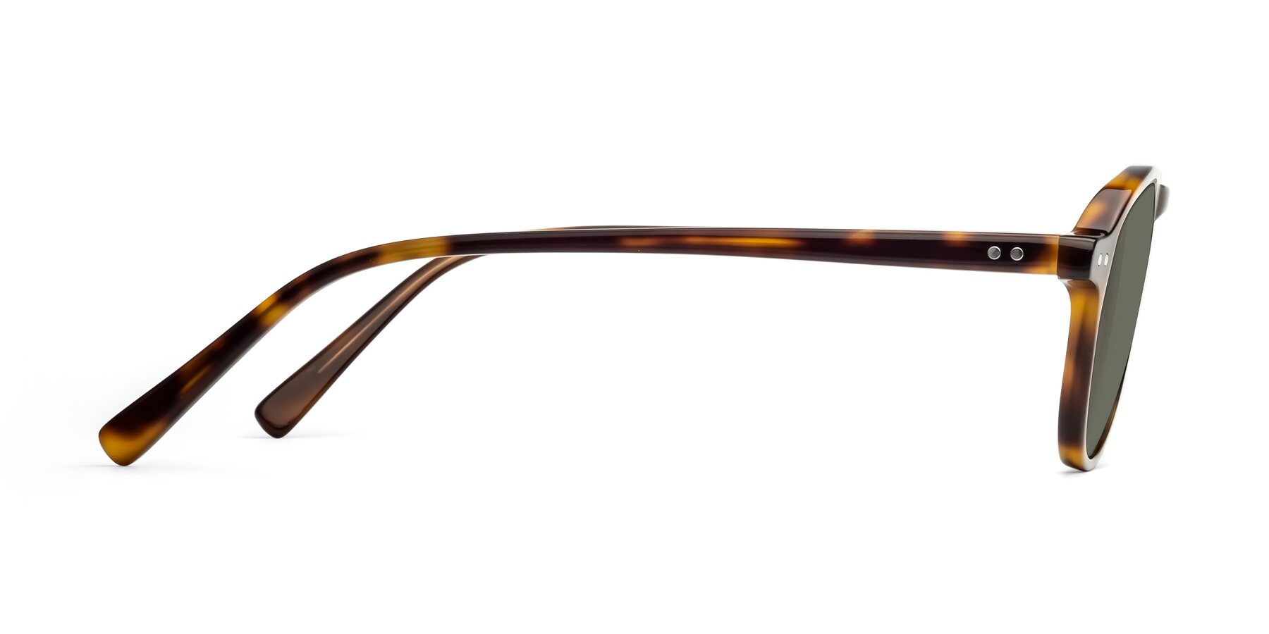 Side of 17544 in Tortoise with Gray Polarized Lenses