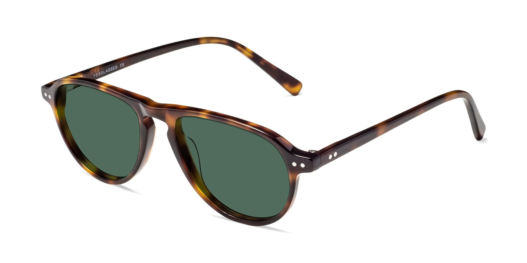 Angle of 17544 in Tortoise with Green Polarized Lenses