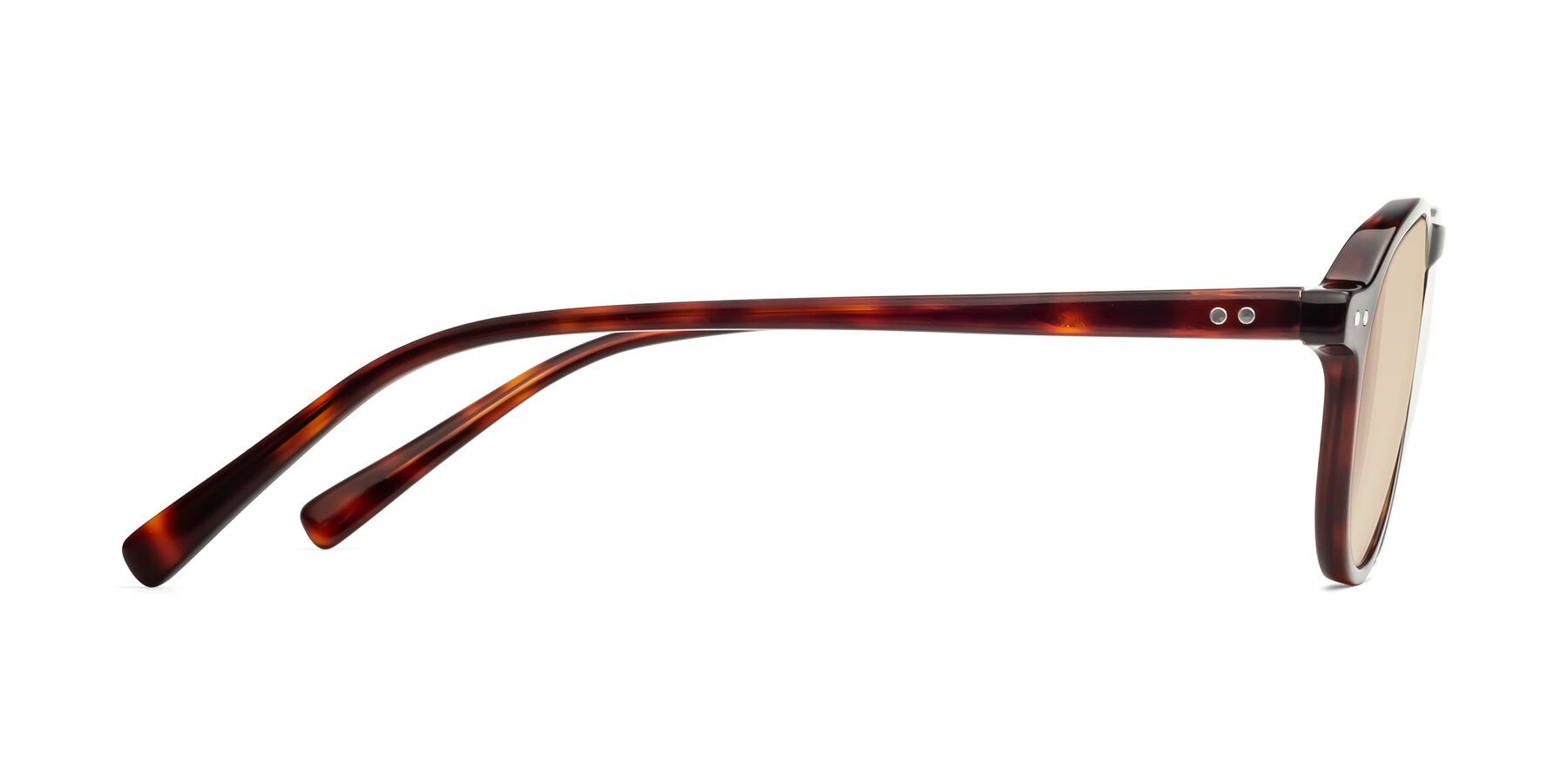 Side of 17544 in Burgundy Tortoise with Light Brown Tinted Lenses