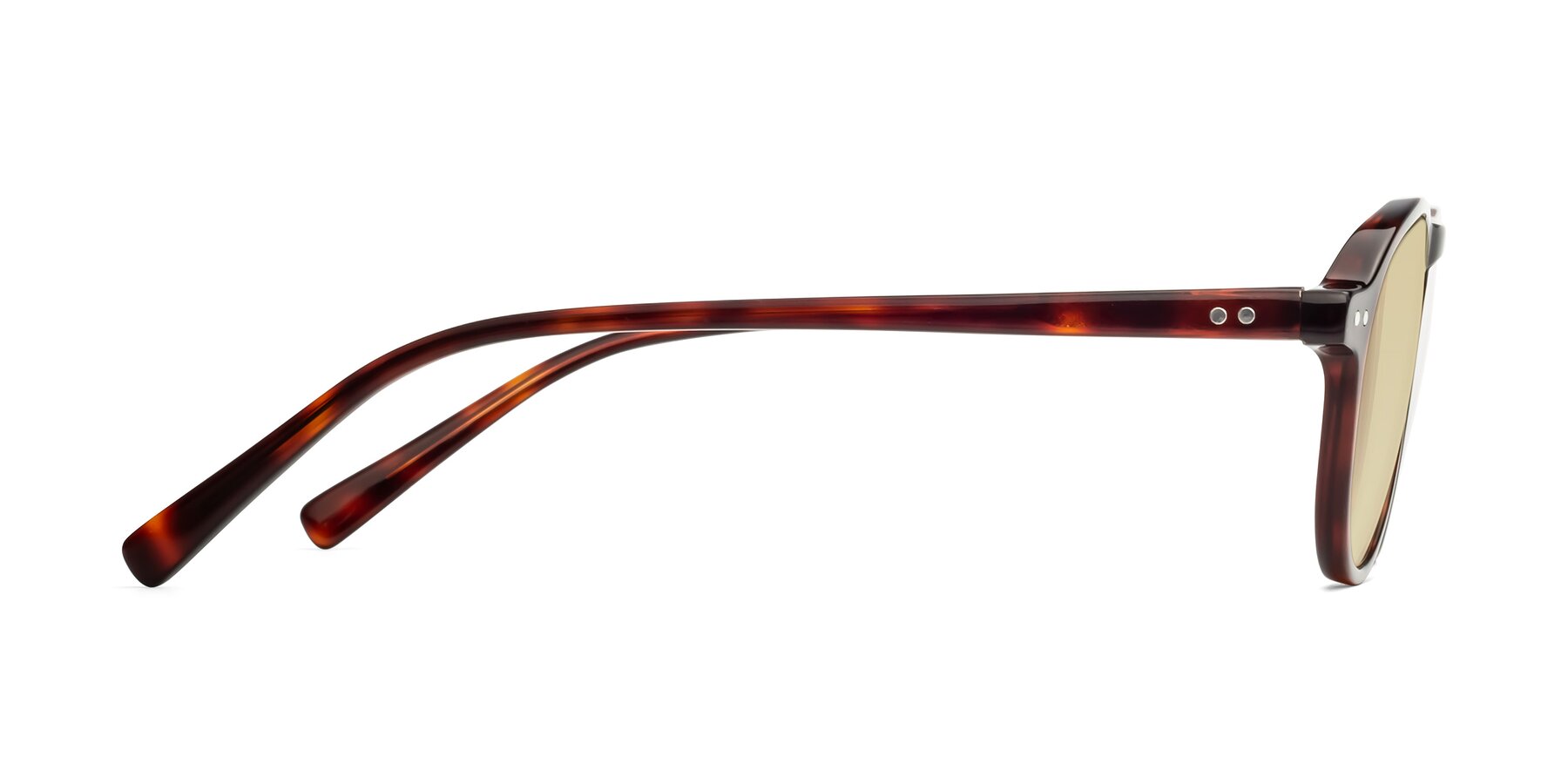 Side of 17544 in Burgundy Tortoise with Light Champagne Tinted Lenses