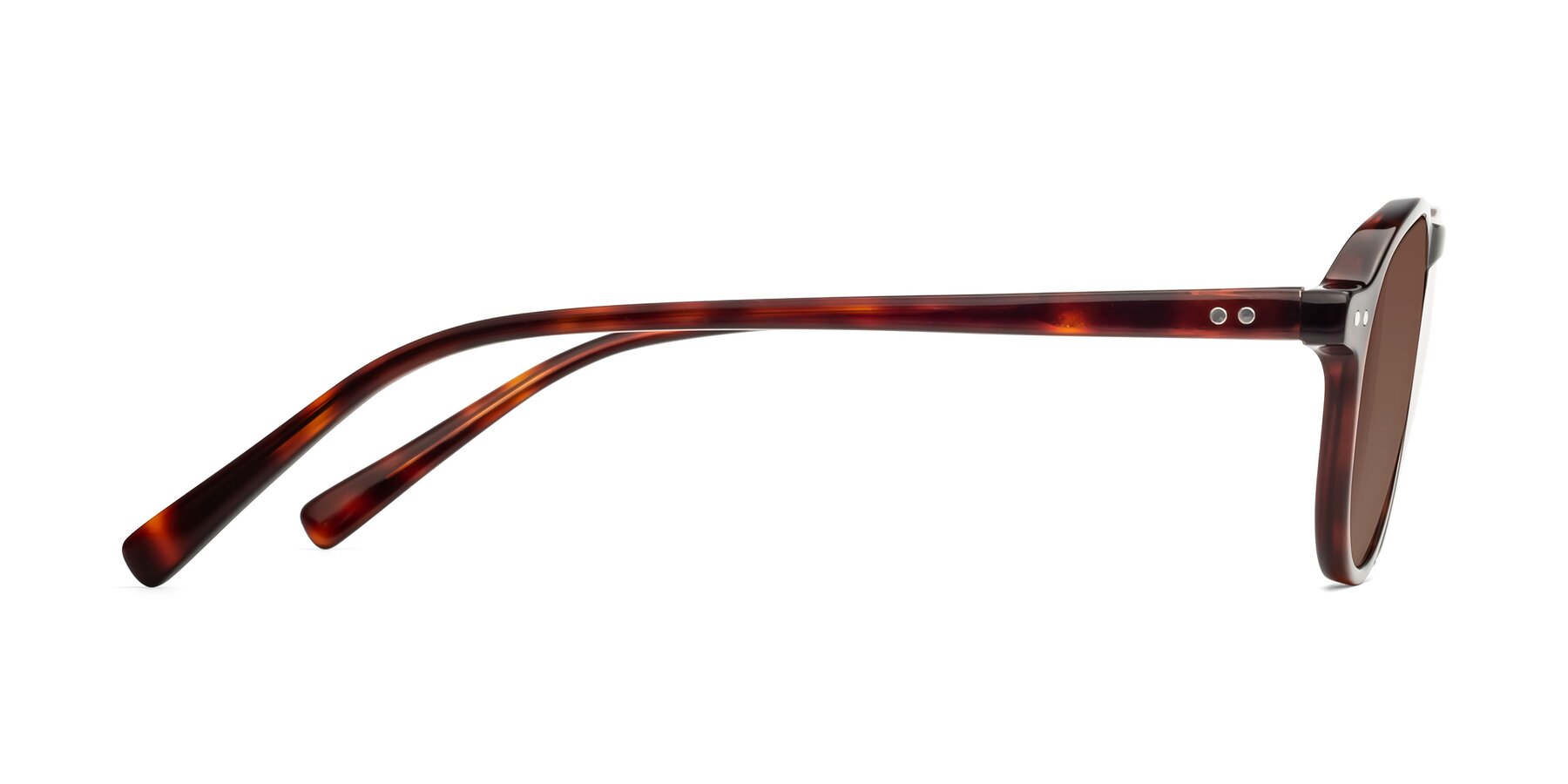 Side of 17544 in Burgundy Tortoise with Brown Tinted Lenses