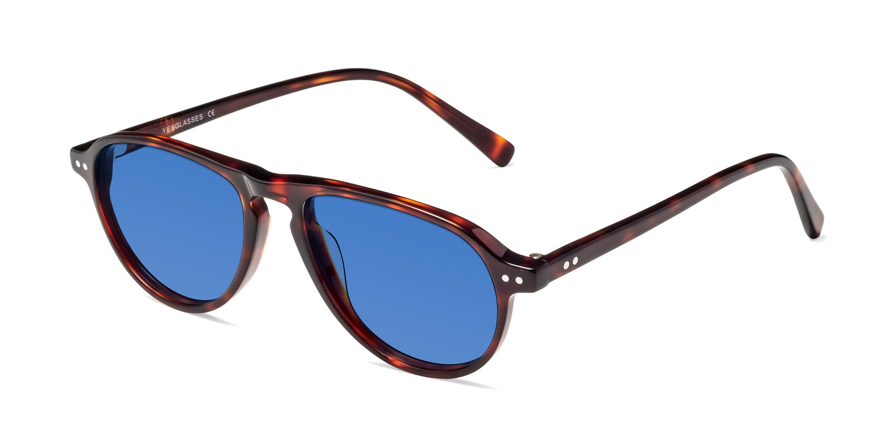 Angle of 17544 in Burgundy Tortoise with Blue Tinted Lenses