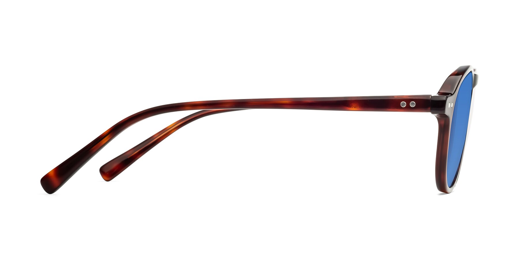 Side of 17544 in Burgundy Tortoise with Blue Tinted Lenses
