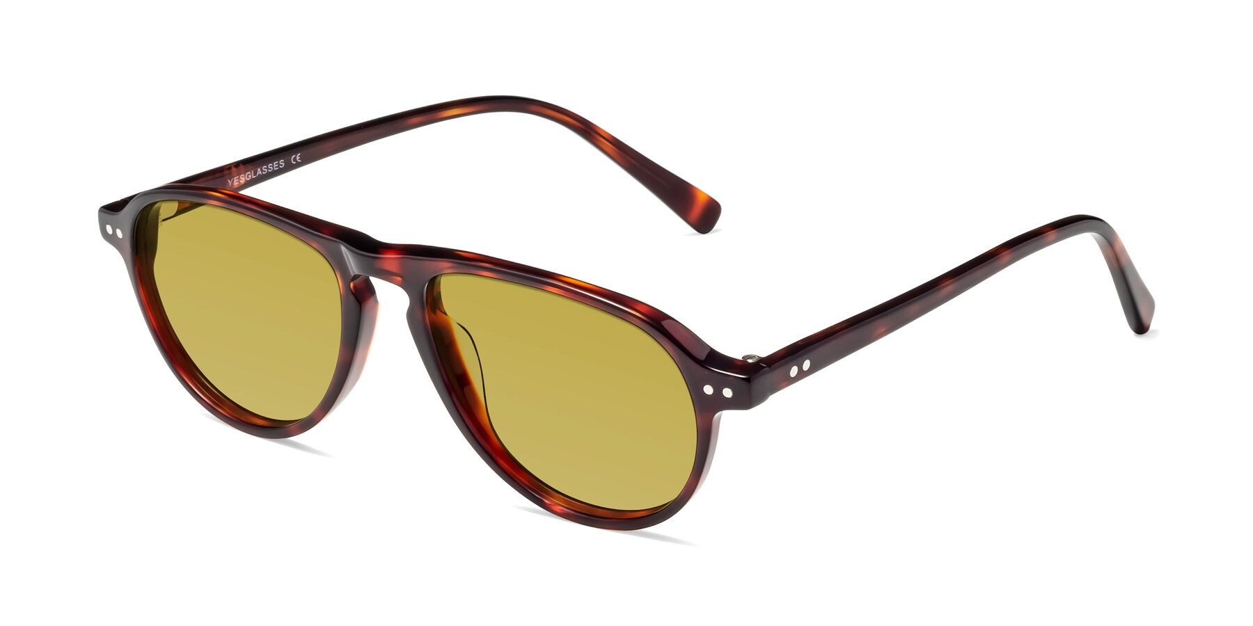 Angle of 17544 in Burgundy Tortoise with Champagne Tinted Lenses