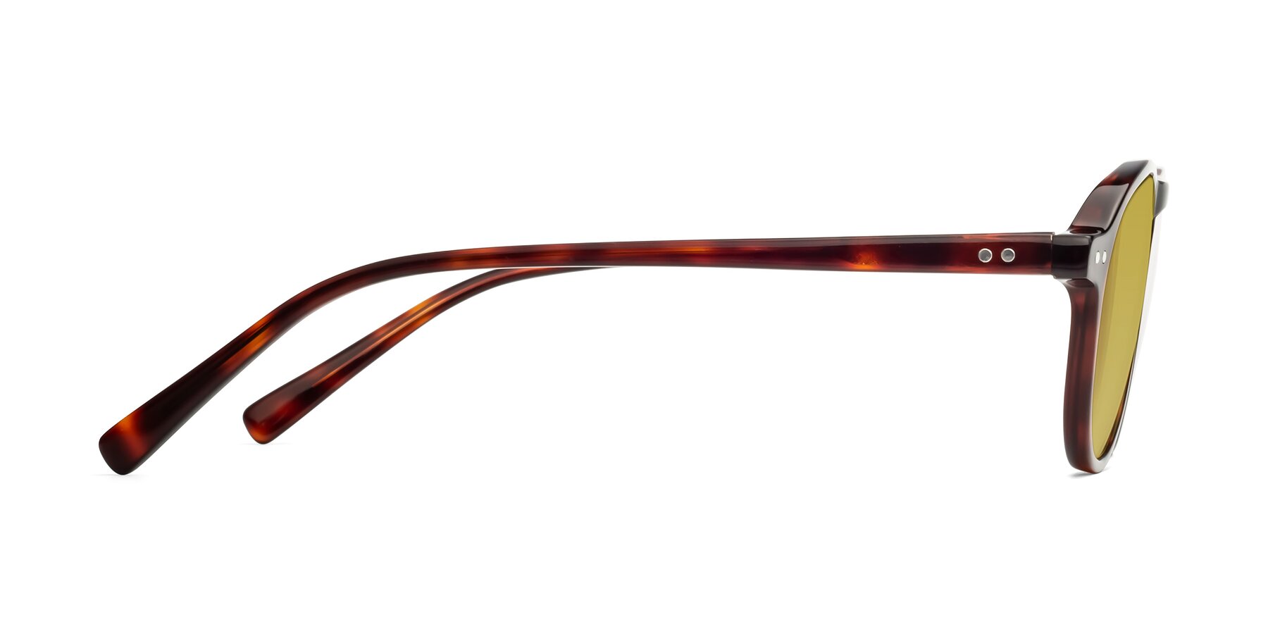 Side of 17544 in Burgundy Tortoise with Champagne Tinted Lenses