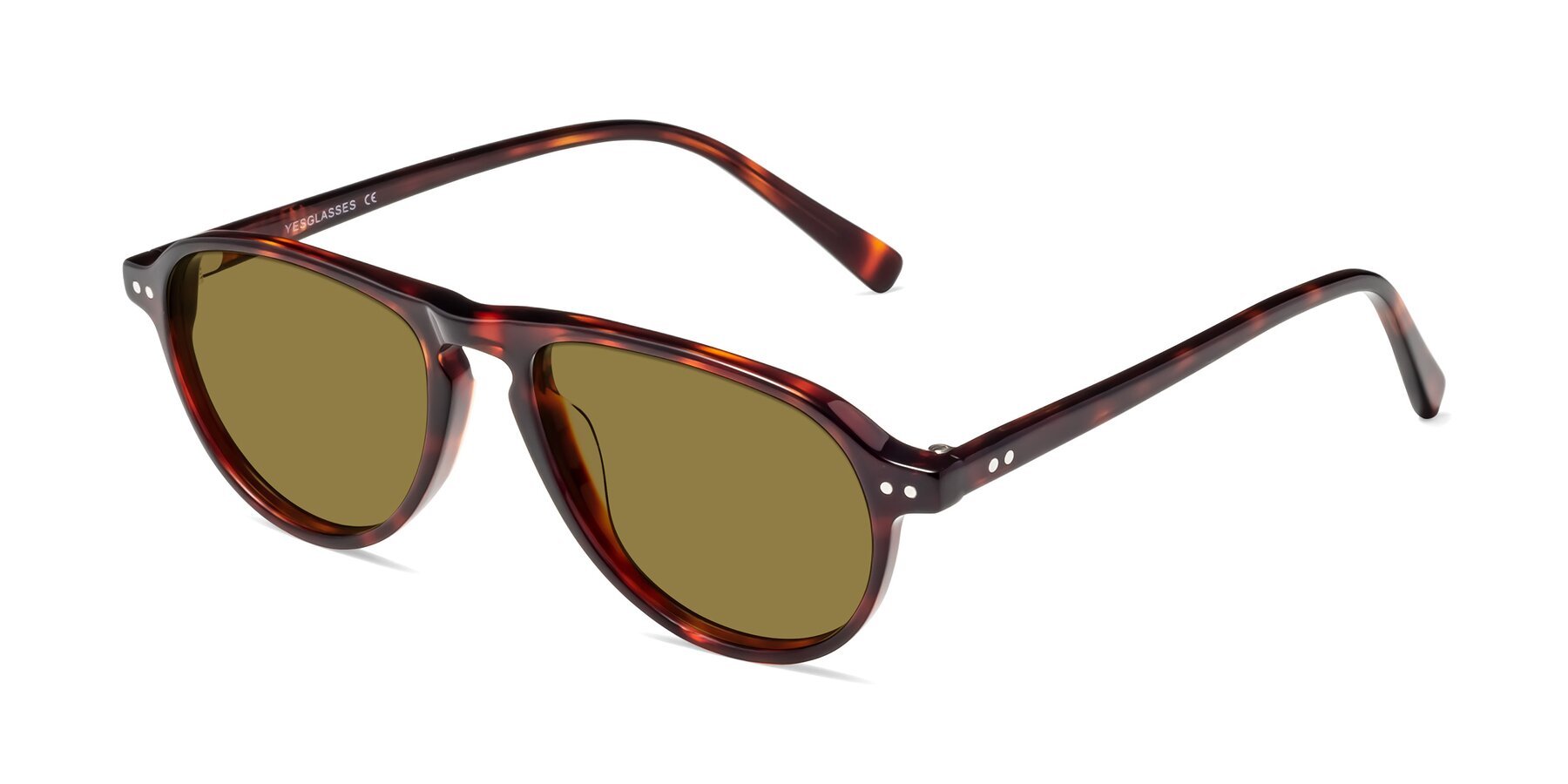 Angle of 17544 in Burgundy Tortoise with Brown Polarized Lenses