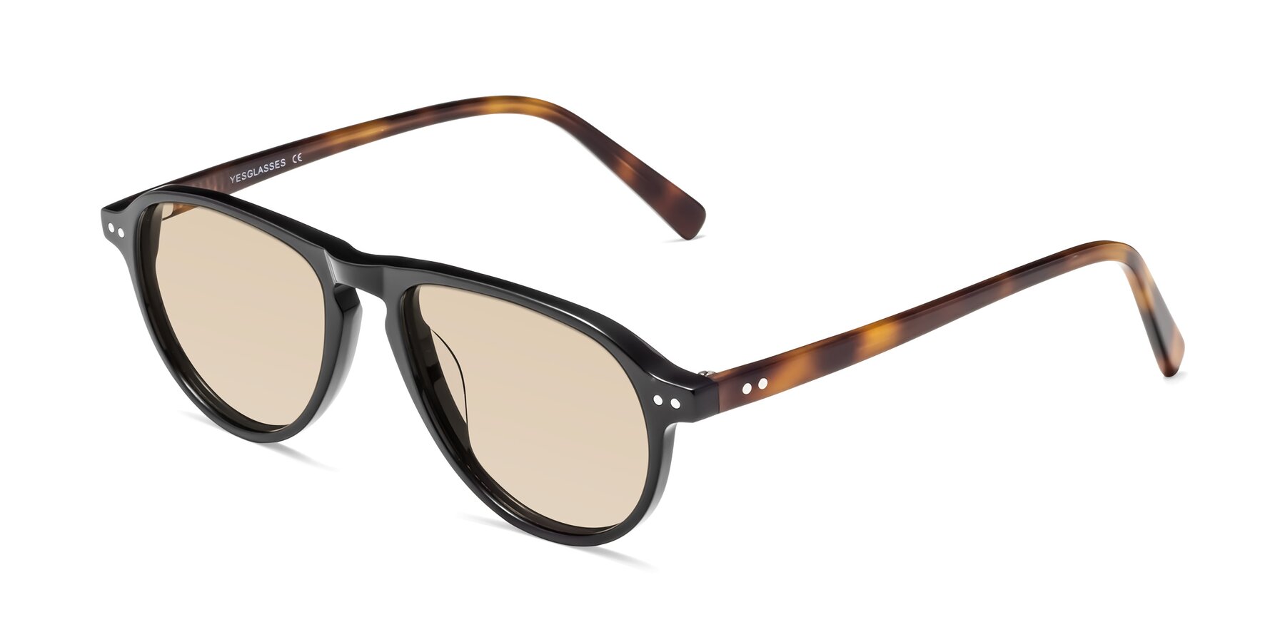 Angle of 17544 in Black-Tortoise with Light Brown Tinted Lenses