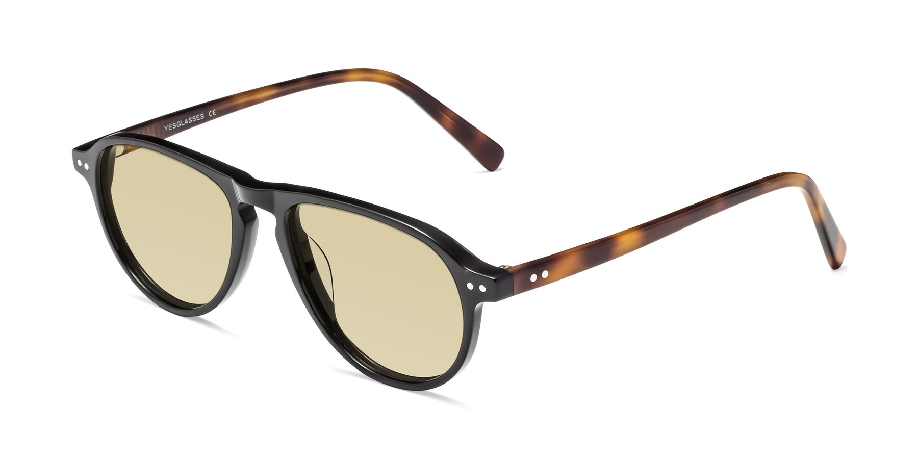Angle of 17544 in Black-Tortoise with Light Champagne Tinted Lenses