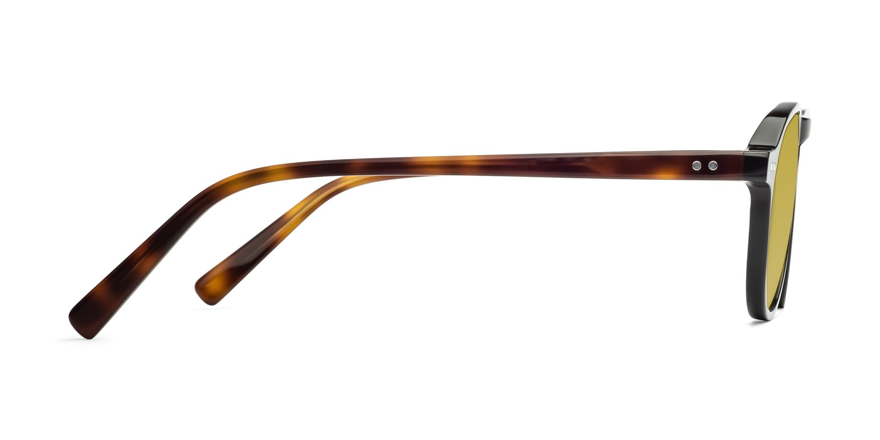 Side of 17544 in Black-Tortoise with Champagne Tinted Lenses