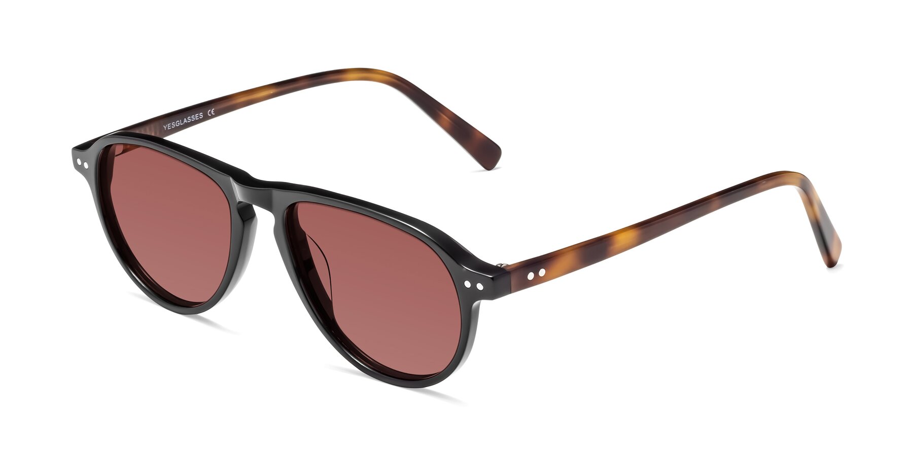 Angle of 17544 in Black-Tortoise with Garnet Tinted Lenses