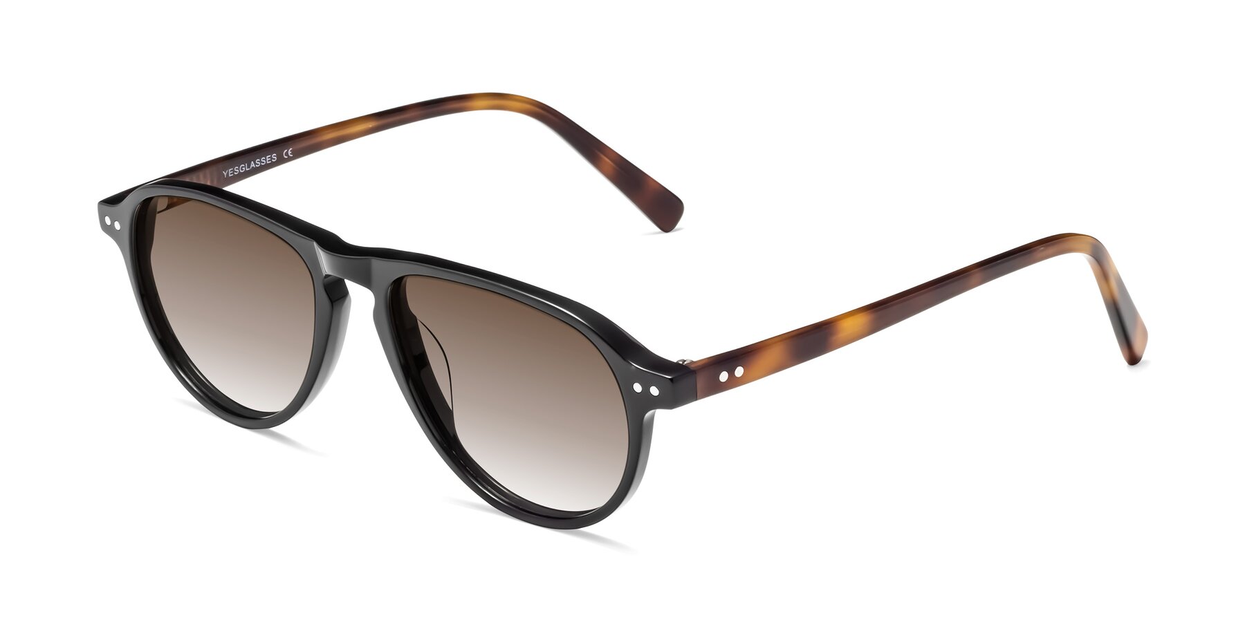 Angle of 17544 in Black-Tortoise with Brown Gradient Lenses