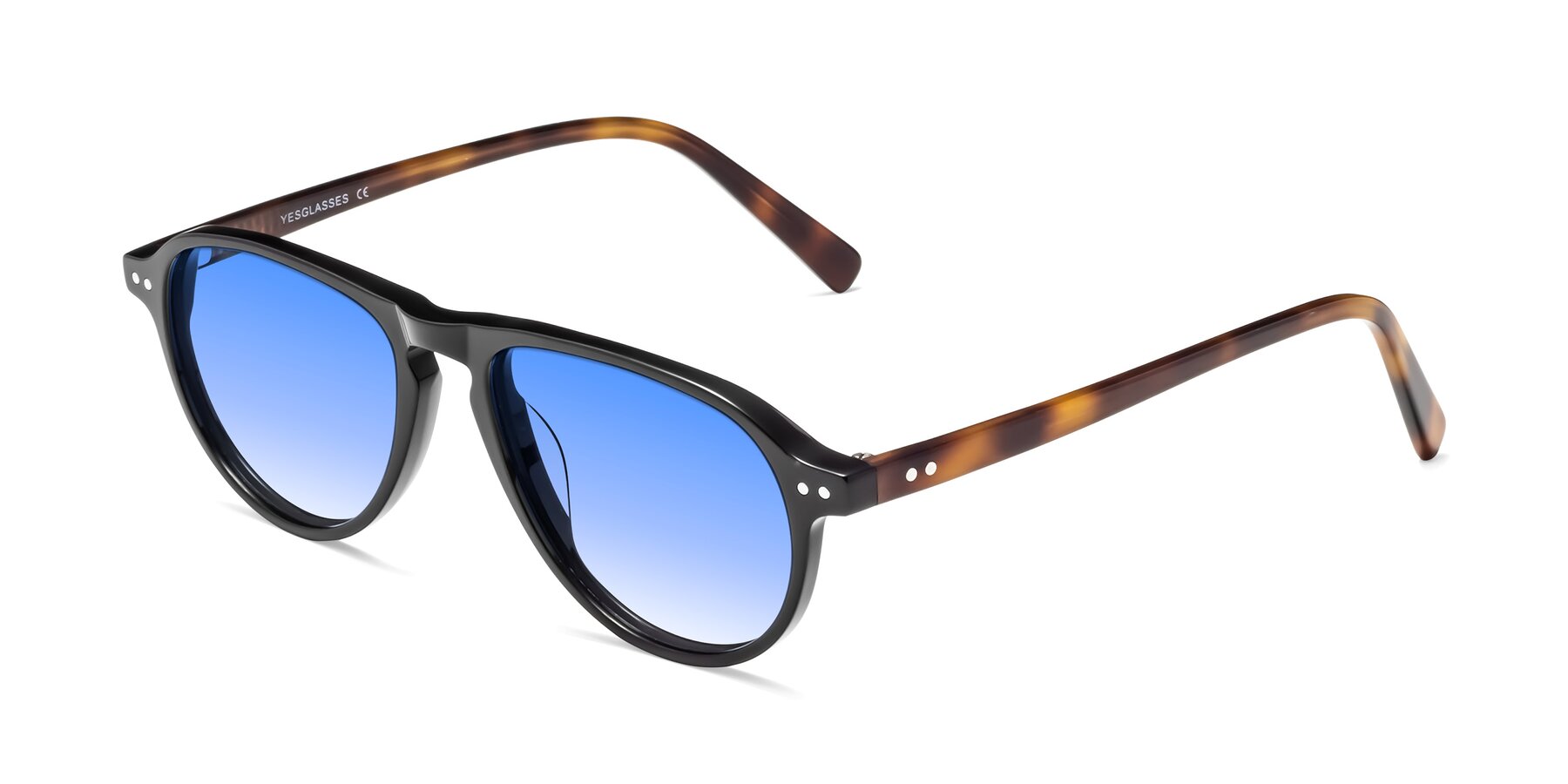 Angle of 17544 in Black-Tortoise with Blue Gradient Lenses