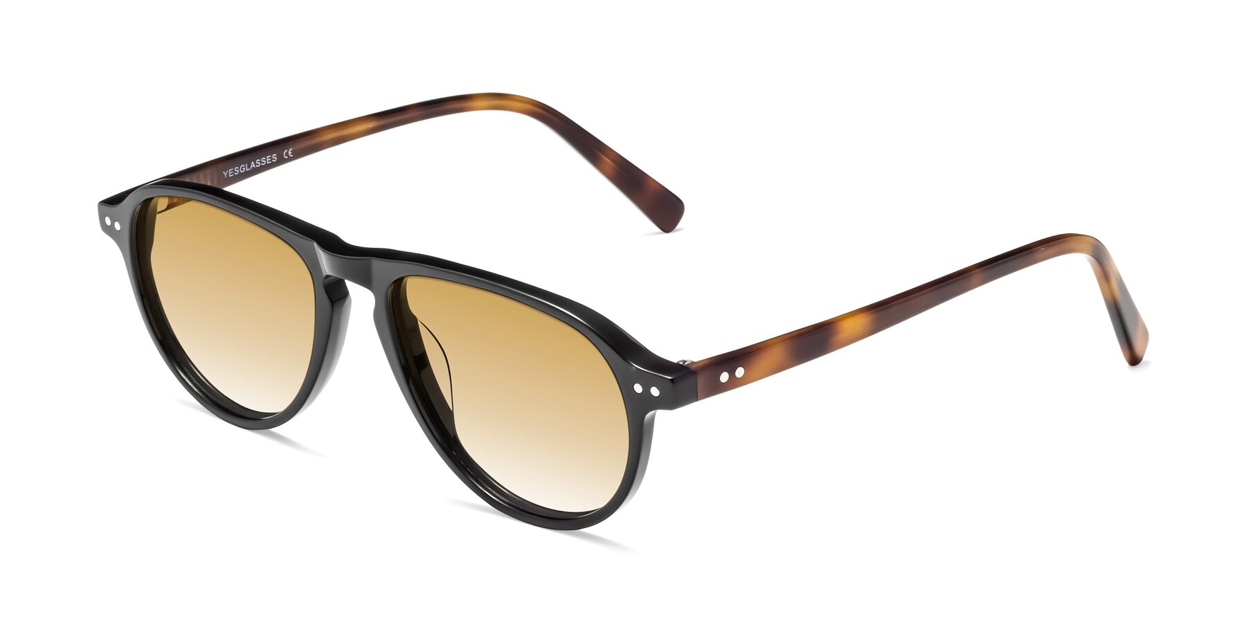 Angle of 17544 in Black-Tortoise with Champagne Gradient Lenses