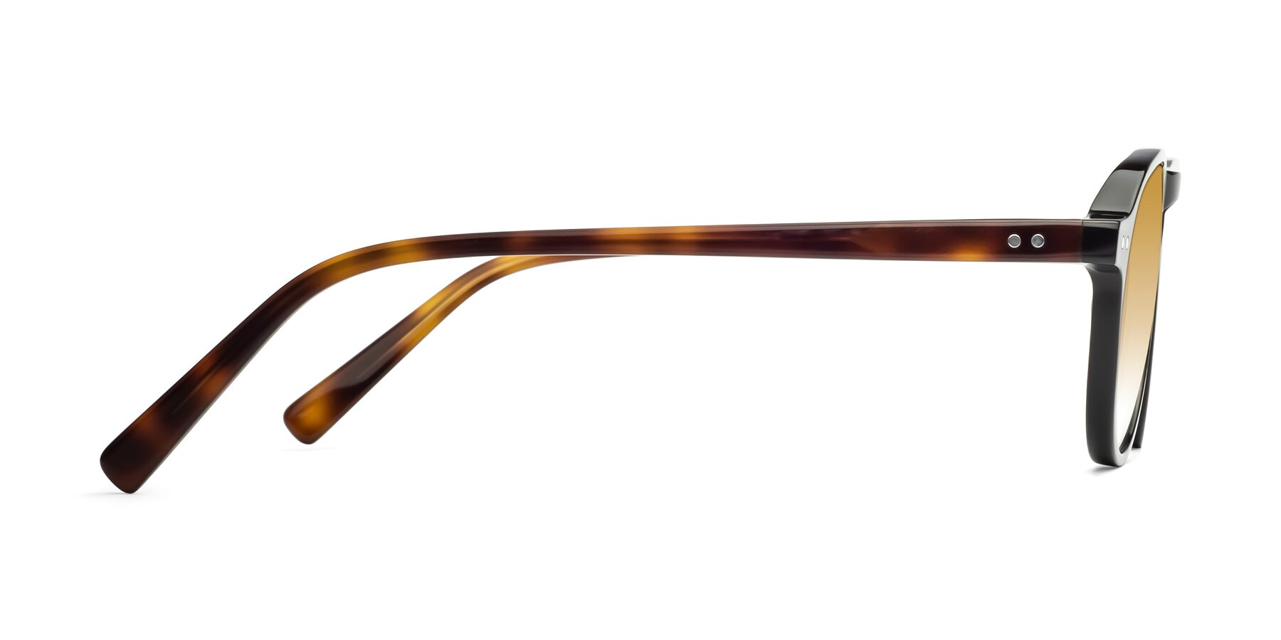 Side of 17544 in Black-Tortoise with Champagne Gradient Lenses