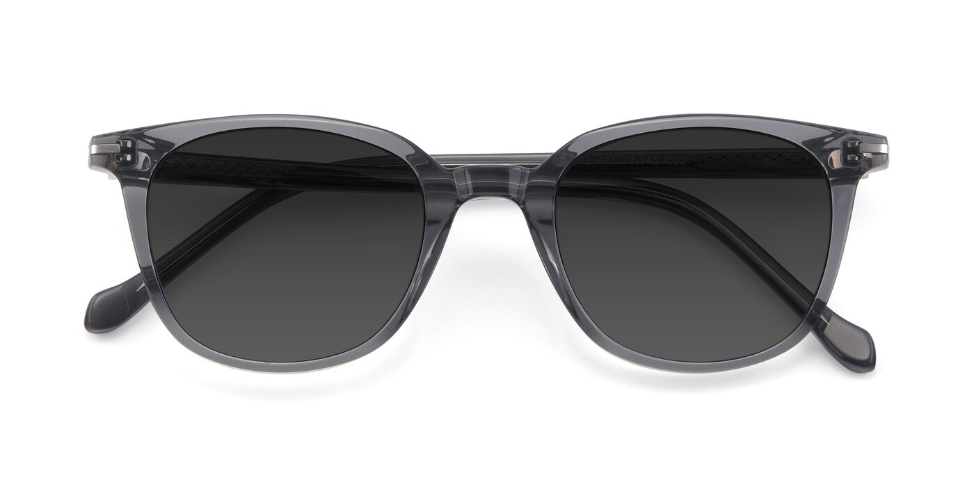 17562 - Transparent Grey Tinted Sunglasses