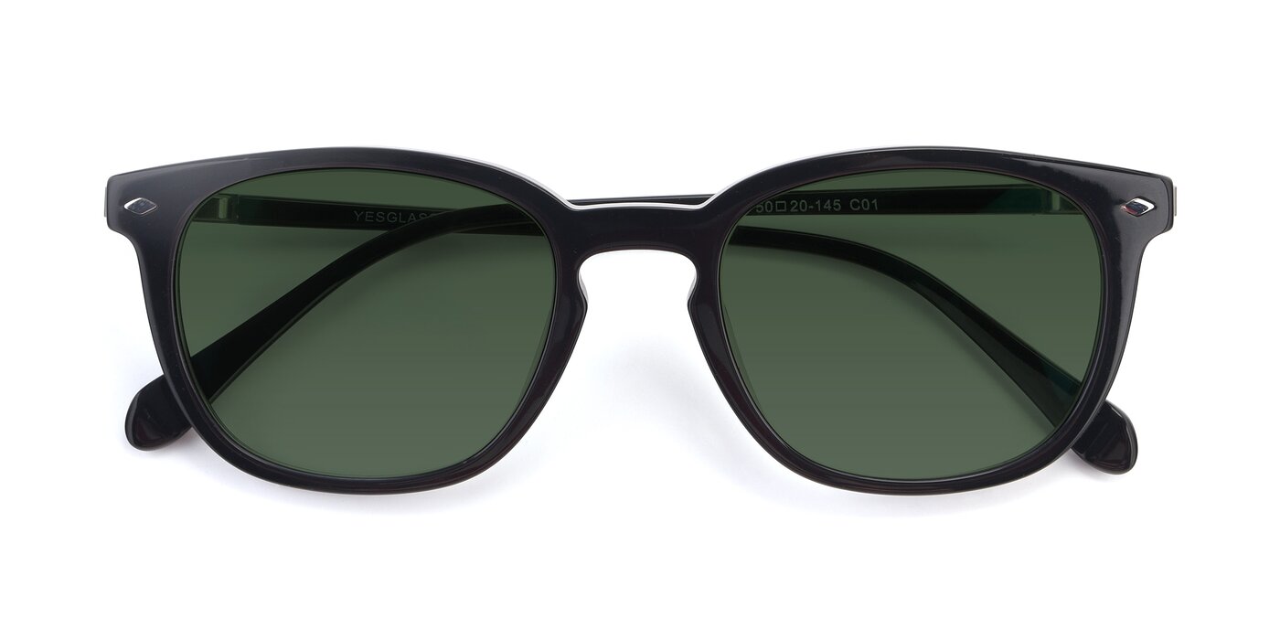 17578 - Black Tinted Sunglasses