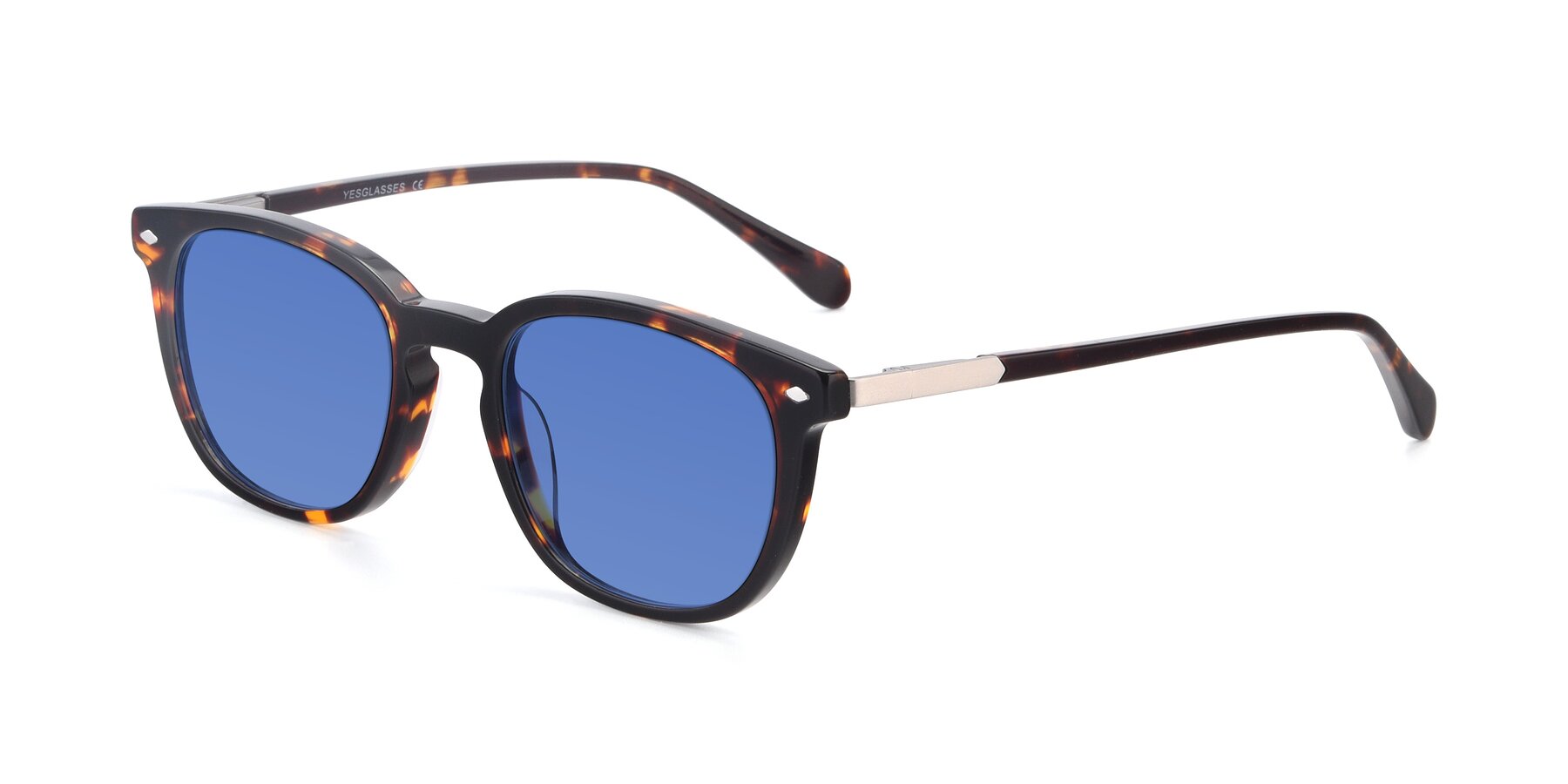 Angle of 17578 in Tortoise with Blue Tinted Lenses