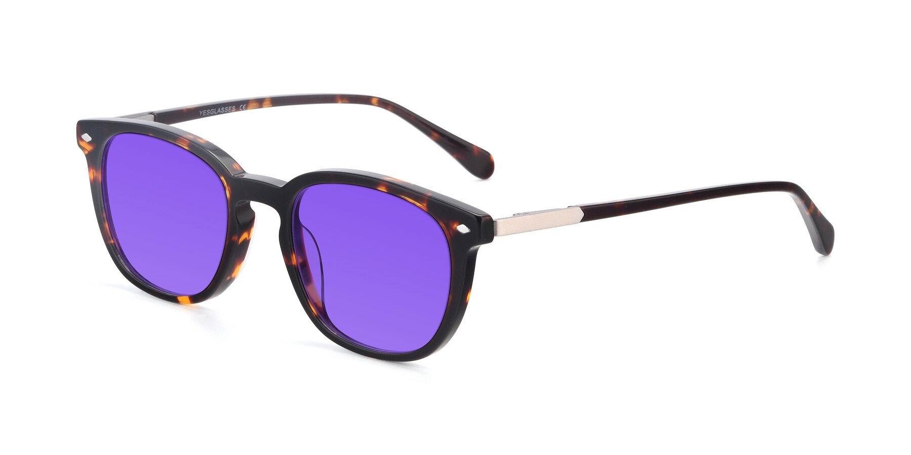 Angle of 17578 in Tortoise with Purple Tinted Lenses