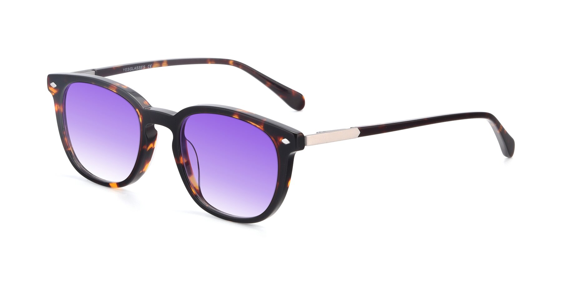 Angle of 17578 in Tortoise with Purple Gradient Lenses