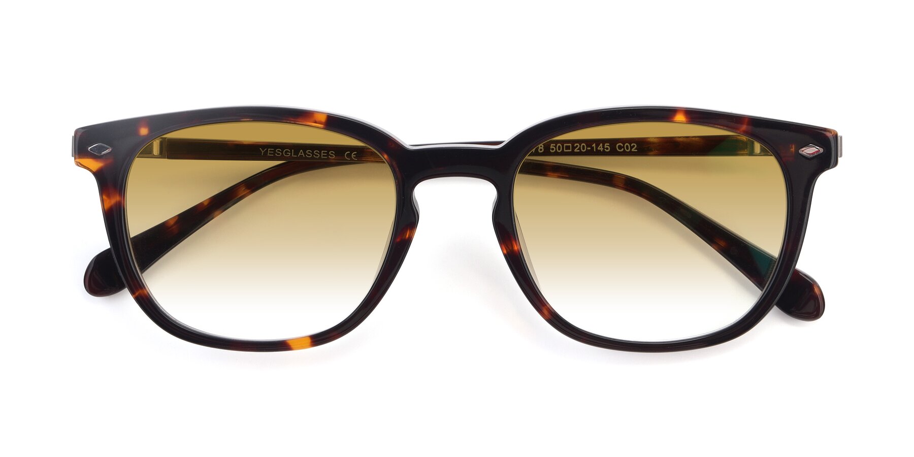 Folded Front of 17578 in Tortoise with Champagne Gradient Lenses