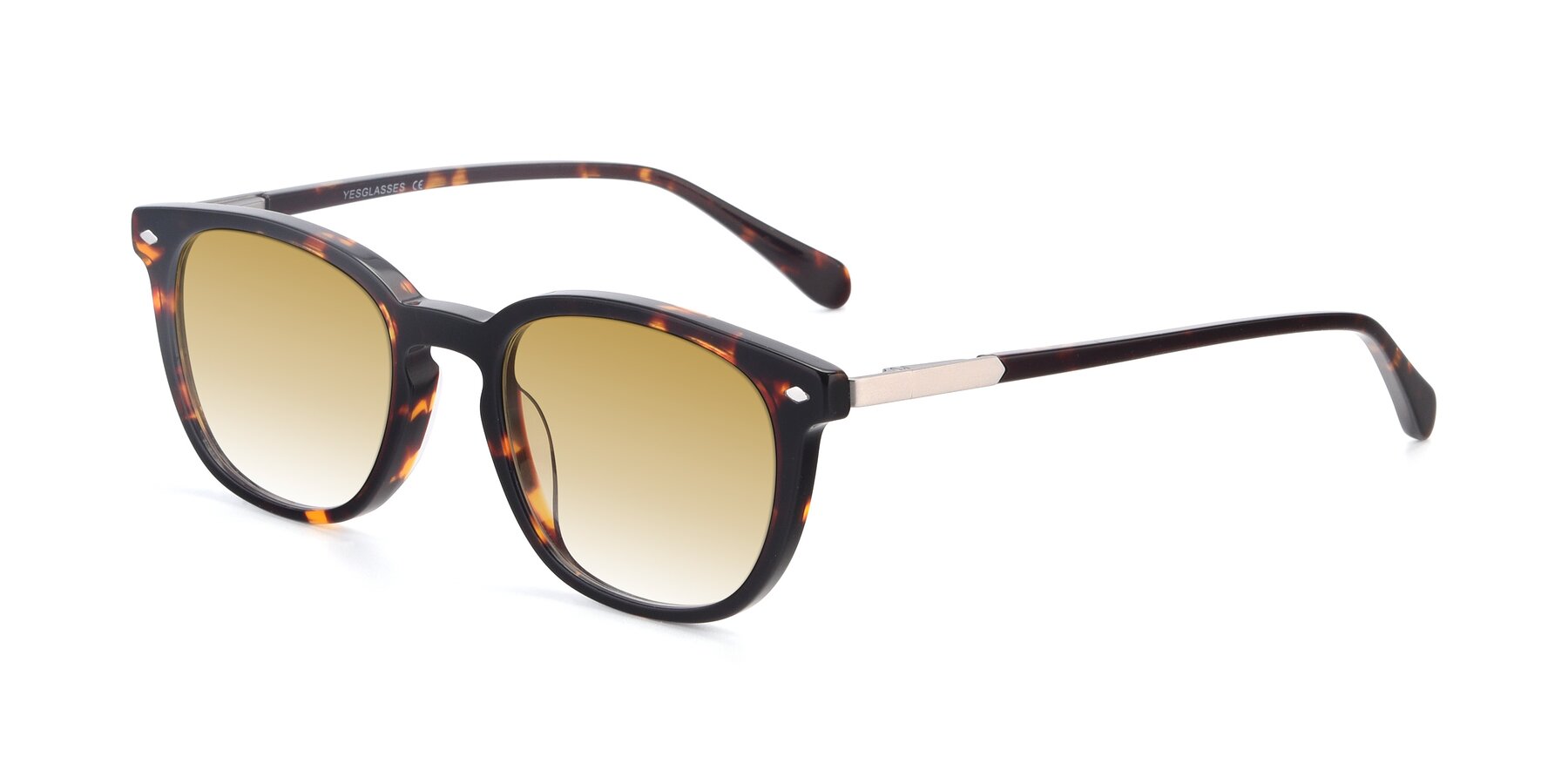 Angle of 17578 in Tortoise with Champagne Gradient Lenses
