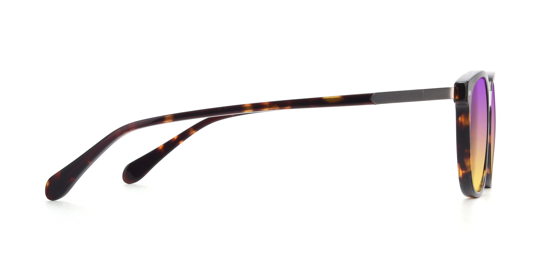 Side of 17578 in Tortoise with Purple / Yellow Gradient Lenses