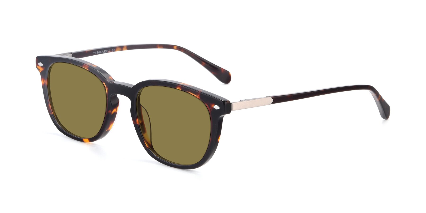 Tortoise Geek-Chic Keyhole Bridge Square Polarized Sunglasses with ...