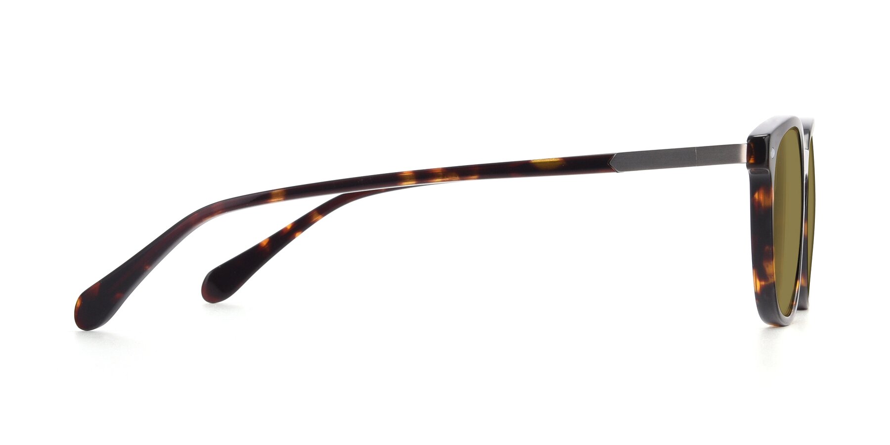 Side of 17578 in Tortoise with Brown Polarized Lenses