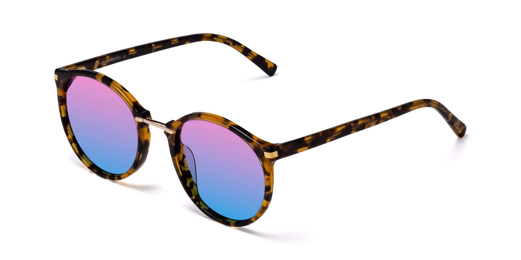 Angle of Casper in Tortoise with Pink / Blue Gradient Lenses