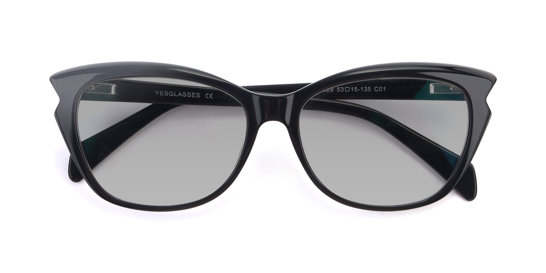 Folded Front of 17629 in Black with Light Gray Tinted Lenses