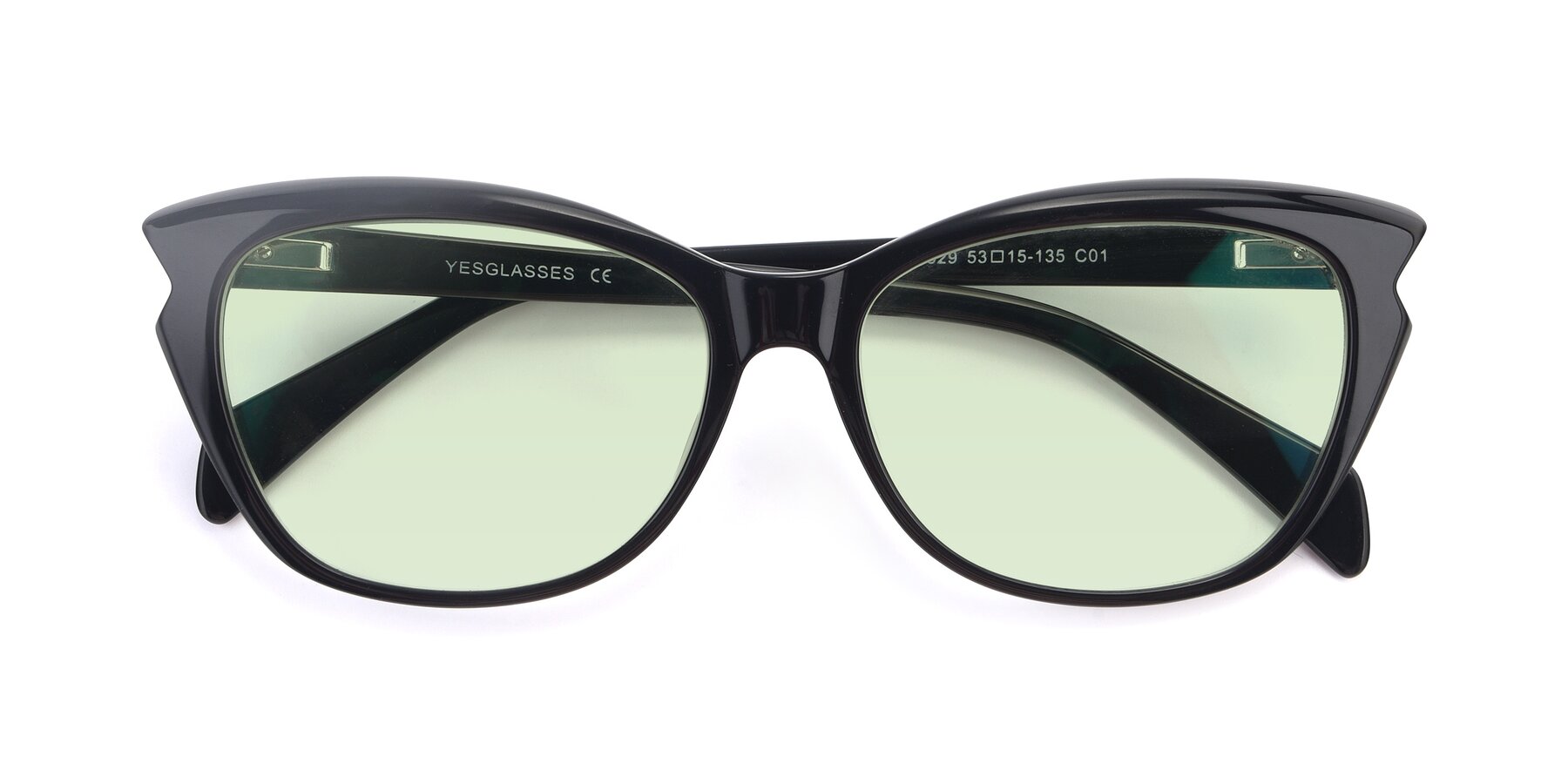 Folded Front of 17629 in Black with Light Green Tinted Lenses