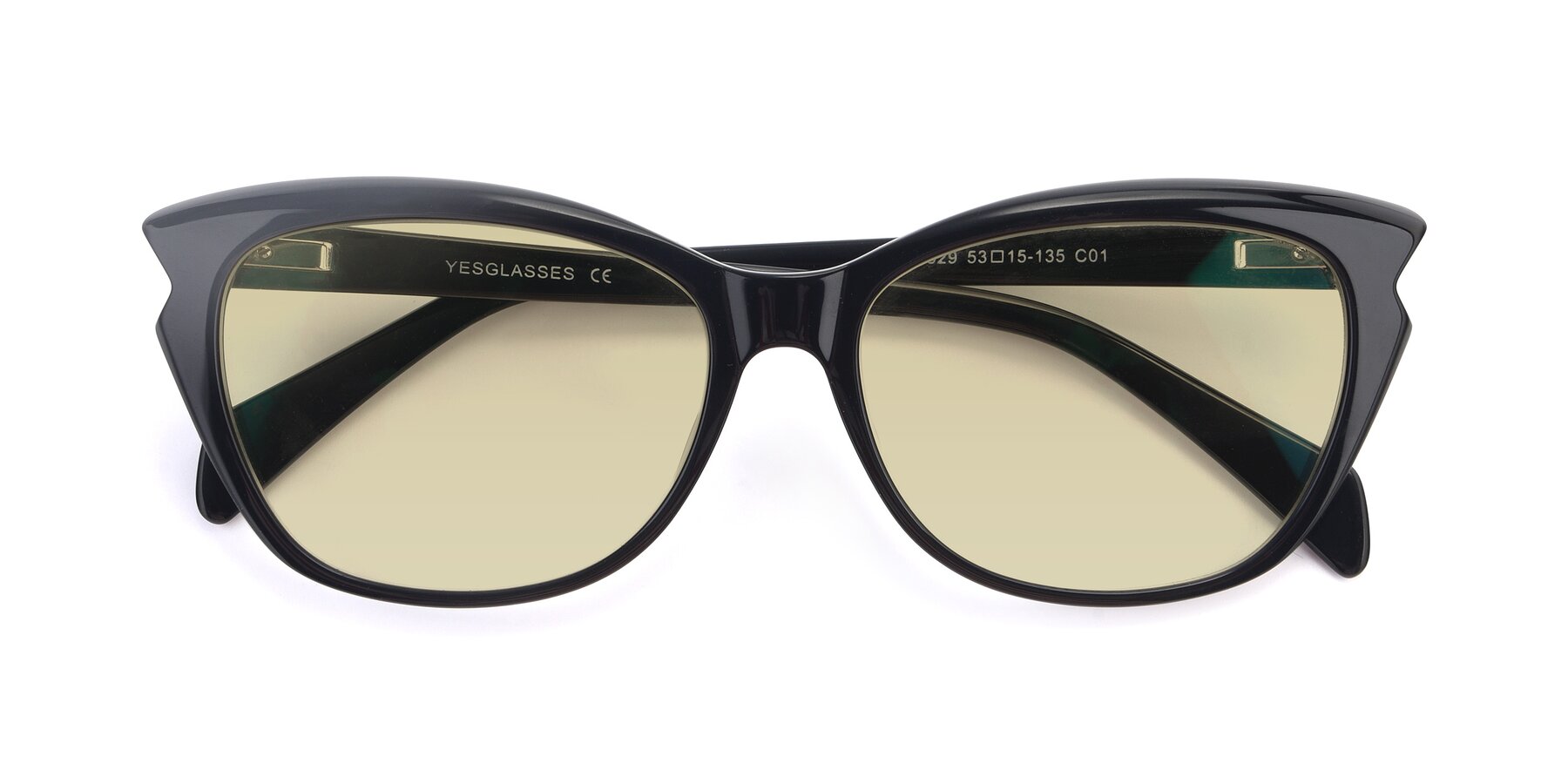 Folded Front of 17629 in Black with Light Champagne Tinted Lenses
