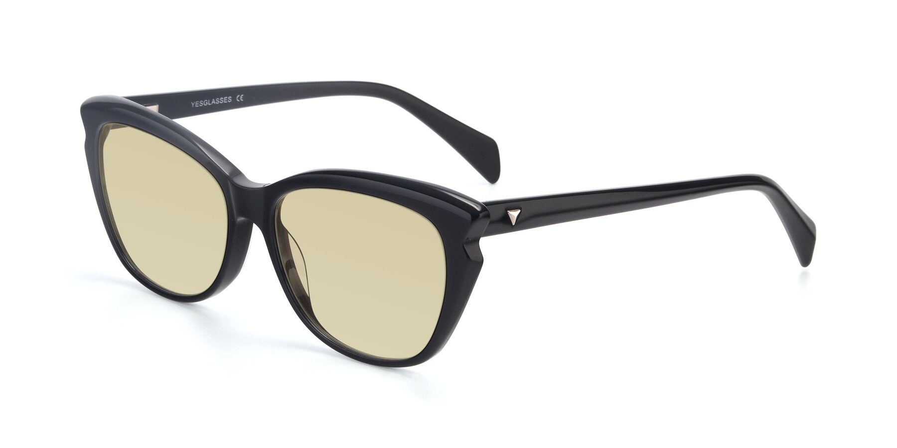 Angle of 17629 in Black with Light Champagne Tinted Lenses