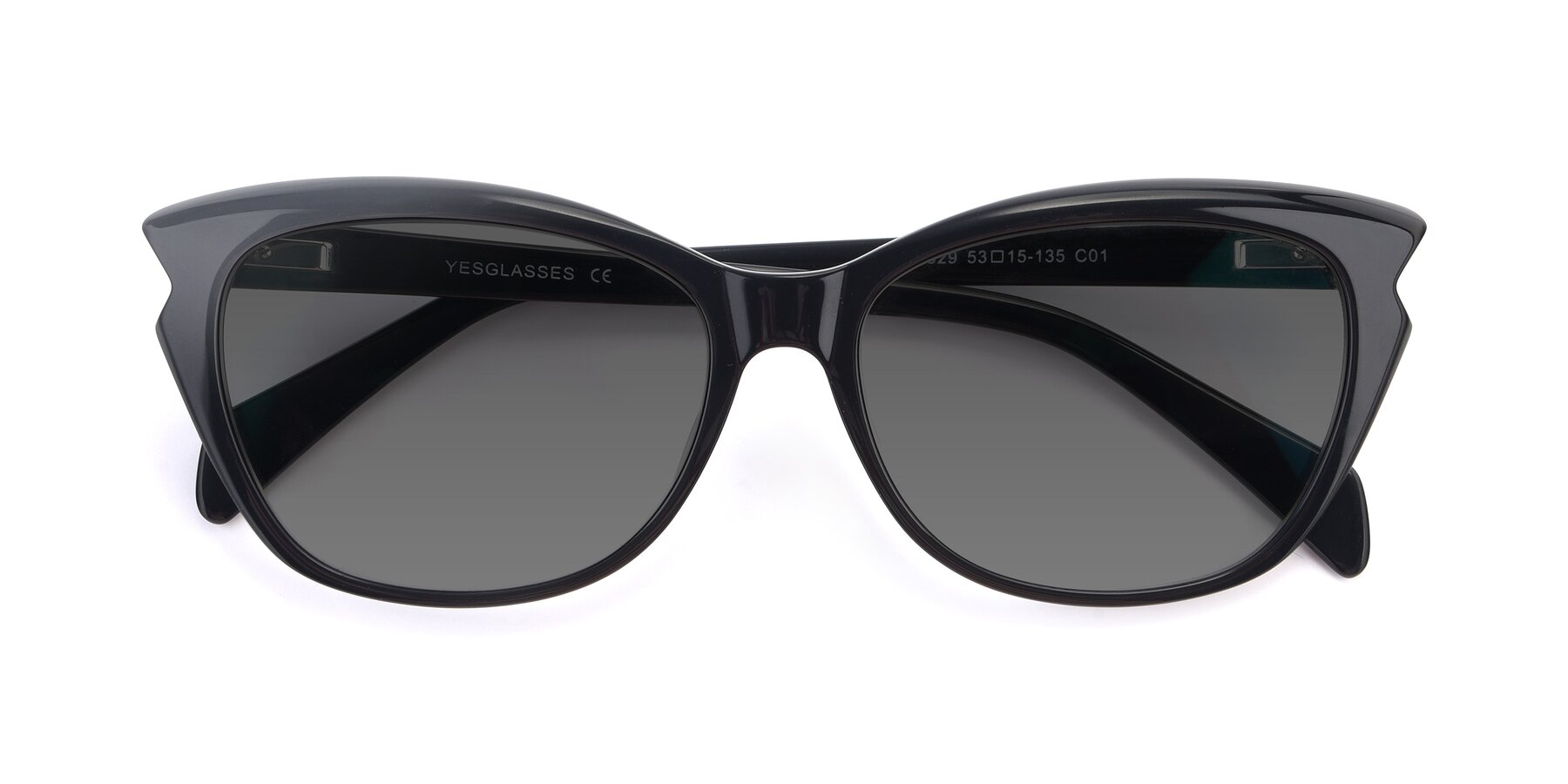 Folded Front of 17629 in Black with Medium Gray Tinted Lenses